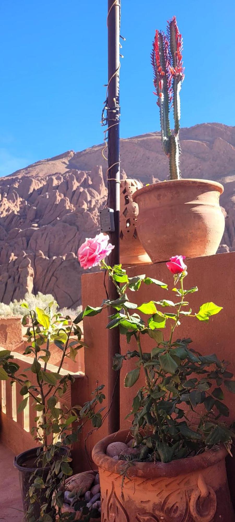 Tafsut Dades Guesthouse Stay With Locals Tamellalt  ภายนอก รูปภาพ